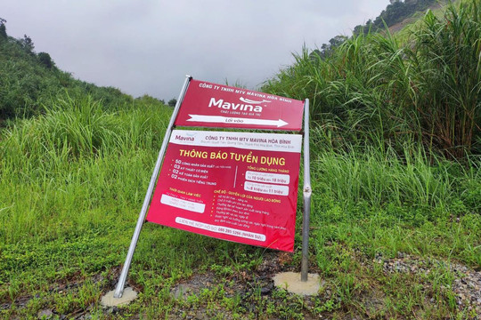 Công ty MAVINA Hòa Bình bị phạt 320 triệu đồng
