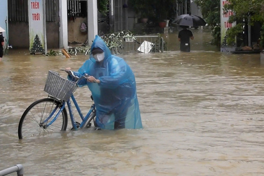 Chương Mỹ (Hà Nội): Huy động nguồn lực sát cánh cùng người dân chống lũ