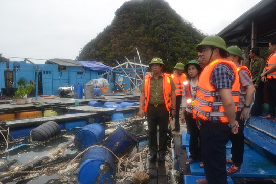 Công an Quảng Ninh tham gia kiểm tra công tác khắc phục hậu quả bão số 3