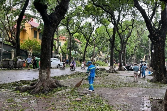 Hà Nội: Khẩn trương trồng lại cây xanh nghiêng, đổ, thu dọn vệ sinh môi trường