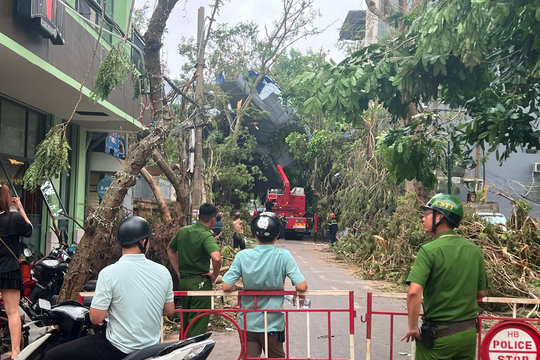 Hải Phòng: Hết tháng 9/2024 mới xử lý xong hơn 22.000 cây đổ gãy