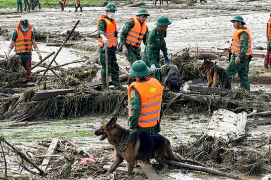 Lũ quét Làng Nủ: Tập trung toàn bộ lực lượng cứu nạn