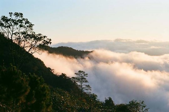 Thời tiết từ ngày 17 đến 23/3: Bắc Bộ không khí lạnh tăng cường, trời hanh khô