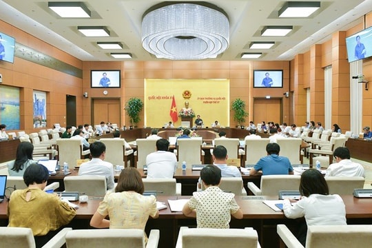 Phát hiện, xử lý tham nhũng tiếp tục được đẩy mạnh