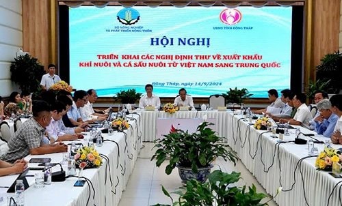 Đồng Tháp: Triển khai Nghị định thư về xuất khẩu khỉ, cá sấu sang Trung Quốc