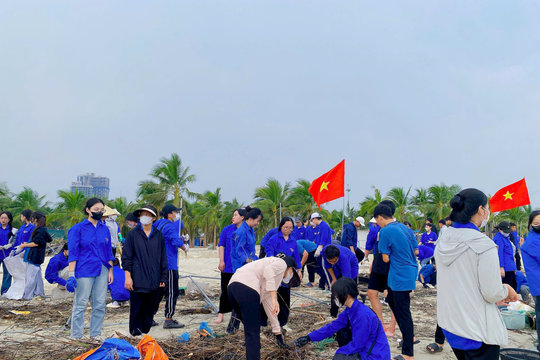 Hơn 1 vạn thanh niên Hạ Long ra quân vệ sinh môi trường