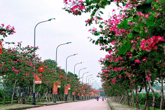 Huyện Nam Đàn – Nghệ An: Phấn đấu đạt chuẩn huyện Nông thôn mới kiểu mẫu vào năm 2025