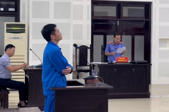 Lừa bán đất trồng cây chiếm đoạt gần 9 tỷ đồng