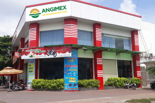 AGM tăng trần bất thường 5 phiên liên tiếp
