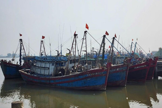 Thanh Hóa ra Công điện chủ động ứng phó với áp thấp nhiệt đới có khả năng mạnh lên thành bão