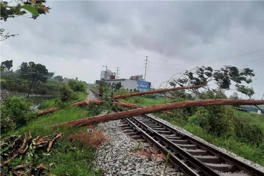 Ngành đường sắt thiệt hại gần 180 tỷ đồng do ảnh hưởng bão số 3