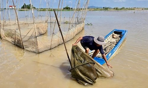 Đồng Tháp: Thông tin để người dân chủ động ứng phó thiên tai