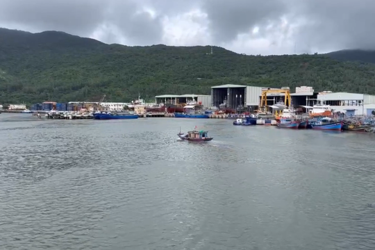 Đà Nẵng còn gần 500 lao động trên biển nằm trong đường đi của áp thấp nhiệt đới