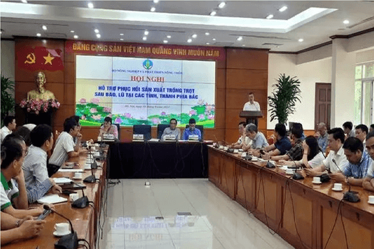 Hỗ trợ khôi phục sản xuất trồng trọt sau bão lũ