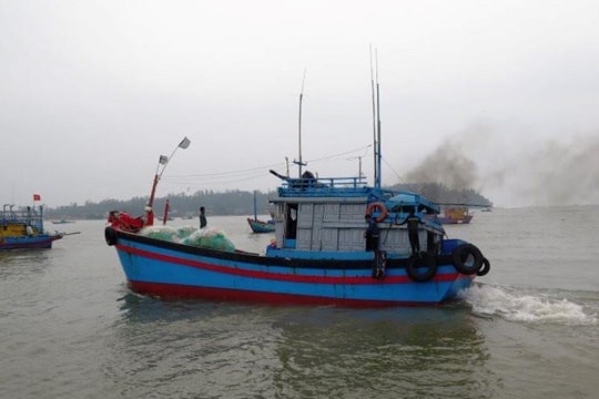 Quảng Ngãi cấm tất cả phương tiện, tàu thuyền ra biển hoạt động từ 12 giờ ngày 18/9