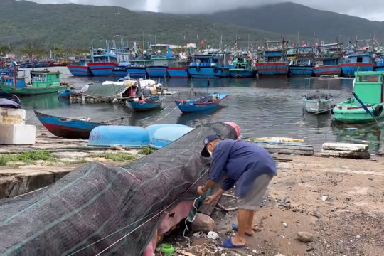 Đà Nẵng còn gần 500 lao động trên biển nằm trong đường đi của áp thấp nhiệt đới