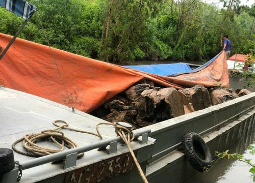 Bắt quả tang 2 vụ khai thác đất trái phép