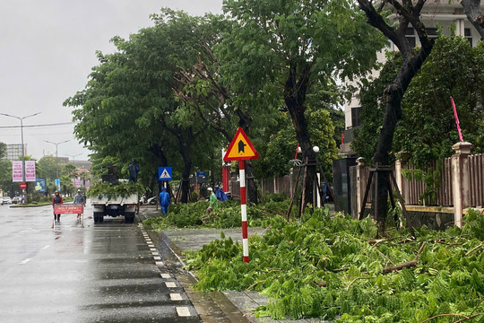 Người dân Huế đem ô tô đến công viên tránh ngập úng