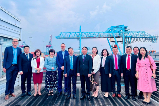 Hải Phòng mở rộng hợp tác với Thụy Điển và Phần Lan