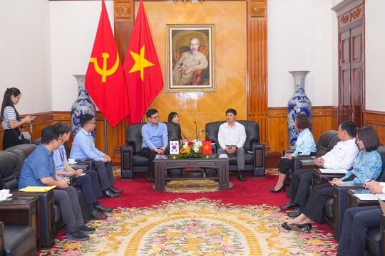 Đại sứ quán Hàn Quốc thăm hỏi khắc phục thiệt hại sau bão tại Hải Phòng