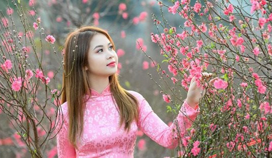 Bộ Nội vụ thống nhất nghỉ Tết Ất Tỵ 9 ngày