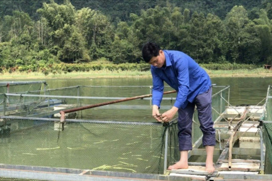 Lạng Sơn: Tái thiết nông lâm nghiệp sau cơn bão số 3
