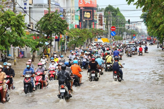 Triều cường vượt báo động III, Cần Thơ đối mặt nguy cơ ngập úng