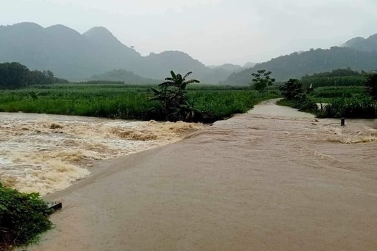 Đi đánh cá, người đàn ông bị đuối nước tử vong