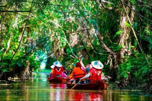 “Chữa lành” bên cánh rừng tràm nguyên sơ