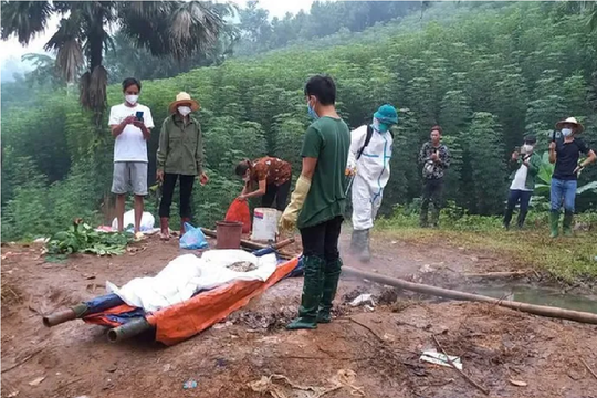 Tìm thấy thêm thi thể nạn nhân tại vùng lũ quét Làng Nủ