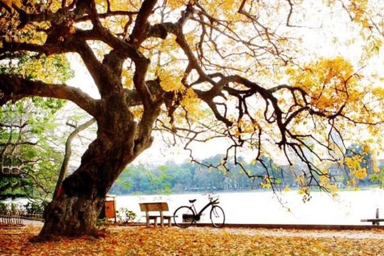 Thời tiết ngày 10/12: Miền Bắc trời nắng, nhiệt độ tăng tới 4 độ