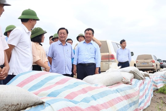 Kiểm tra công tác phục hồi sản xuất nông nghiệp sau bão