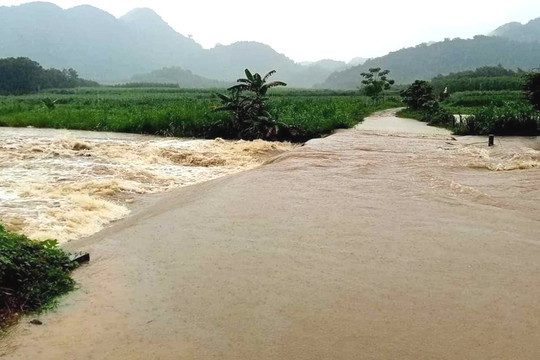 Nghệ An: Người đàn ông mất tích khi đi đánh bắt cá