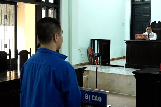 Tàng trữ hơn 500g ma túy để sử dụng