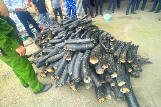 Hải quan và Biên phòng Hải Phòng bắt hàng lậu trị giá hàng chục tỷ đồng