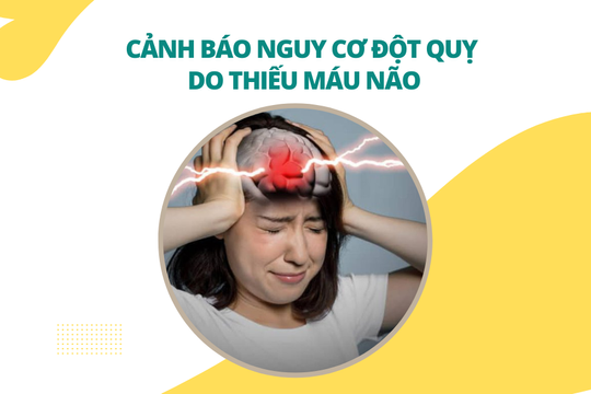 Cảnh báo nguy cơ đột quỵ do thiếu máu não và cách phòng ngừa từ Nattospes