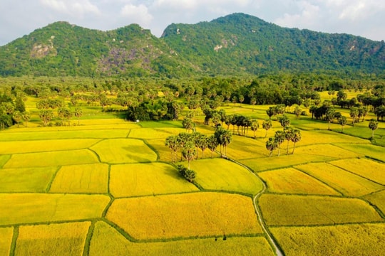 Nông nghiệp sẽ thay đổi như thế nào sau khi Luật Đất đai 2024 có hiệu lực?