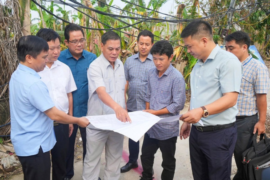 Khẩn trương GPMB thực hiện các Dự án trong quy hoạch sân bay Cát Bi