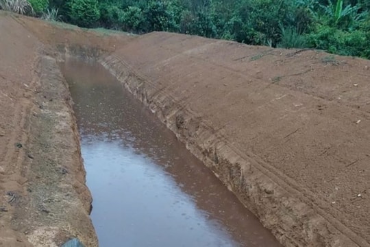 Tự ý biến đất lâm nghiệp làm mương chứa nước thải chăn nuôi
