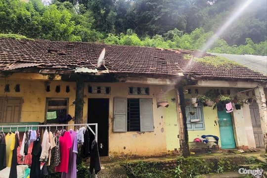 Gia Lai: Hàng chục hộ dân sống 'thấp thỏm' dưới chân đồi có nguy cơ sạt lở