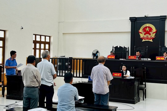 "Kỳ án" hủy hoại rừng tại Bình Thuận: Vì sao Viện kiểm sát rút một phần kháng nghị?