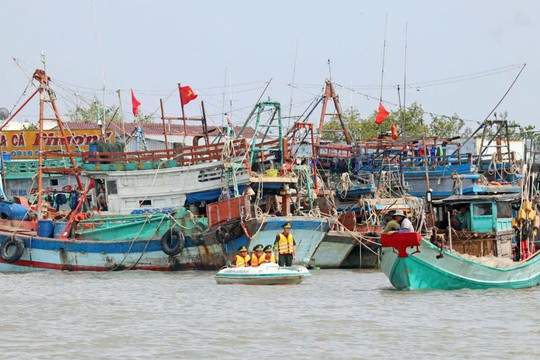 Cà Mau quyết liệt tập trung thực hiện công tác quản lý tàu cá