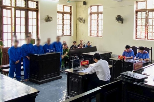 Anh em ruột cùng lĩnh án vì ma túy