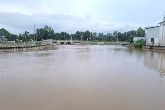 Dự báo mực nước ở ĐBSCL 10 ngày tới