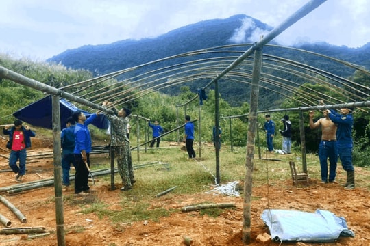 Quảng Nam: Khảo sát địa điểm lập làng di dân phòng sạt lở