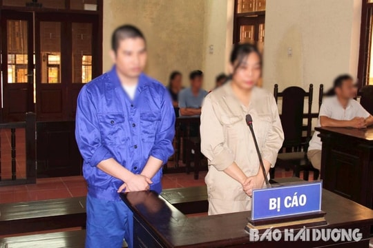 Giám đốc và kế toán công ty cùng lĩnh án vì trốn thuế