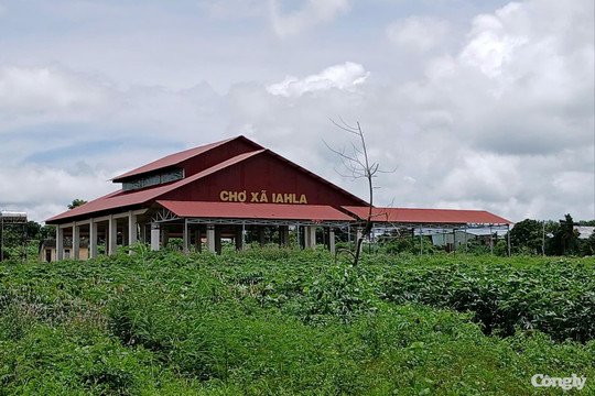 Gia Lai: Tiểu thương đã vào chợ buôn bán sau phản ánh của Báo Công lý