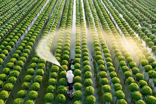 Nông nghiệp Đồng Nai khởi sắc: Giá trị sản xuất tăng trưởng ấn tượng