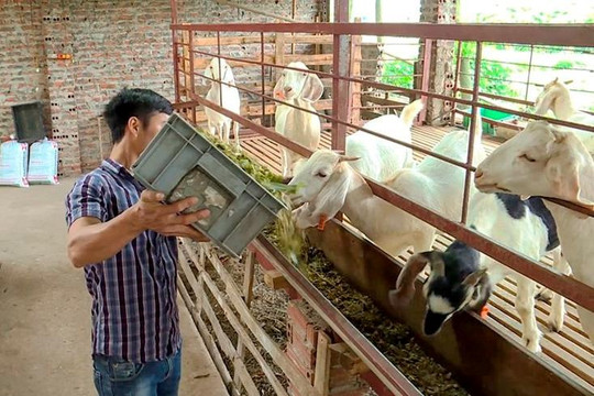 Vĩnh Phúc: Hỗ trợ người chấp hành án phạt tù tái hòa nhập cộng đồng