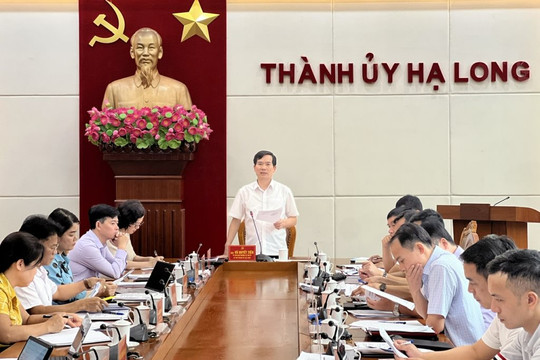 Tạm đình chỉ Giám đốc Ban Quản lý dự án đầu tư xây dựng TP Hạ Long